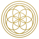Daily Light Language Activations A Living Frequency for Your Highest Good